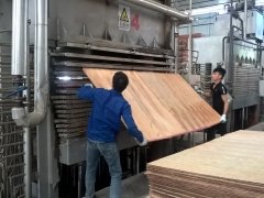 Timber Certification Process
